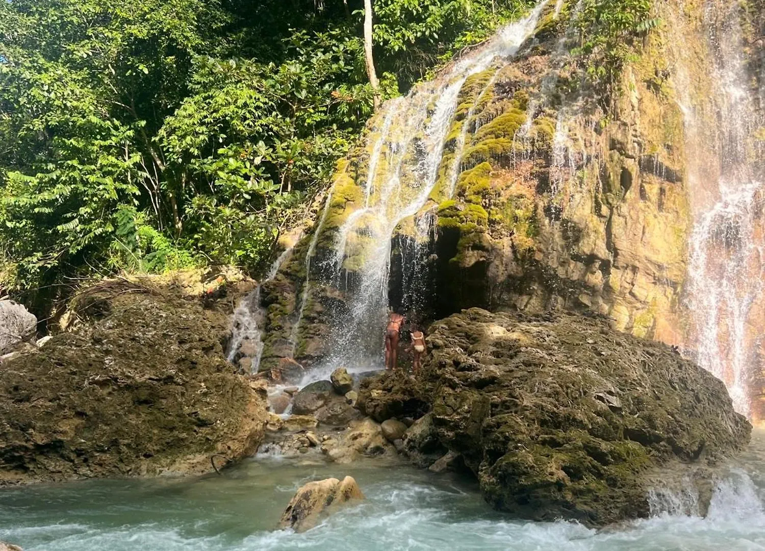 公寓 Beautiful Tropical Eco Cabin With Private River Kupuis 牙买加